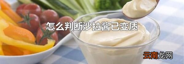 怎么判断沙拉酱已变质