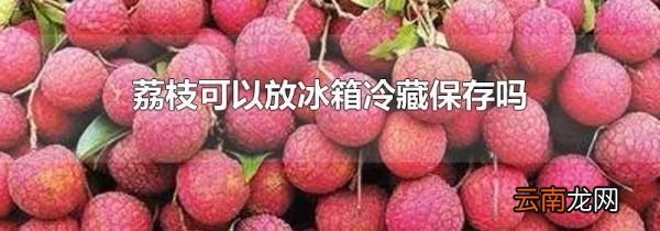 荔枝可以放冰箱冷藏保存吗