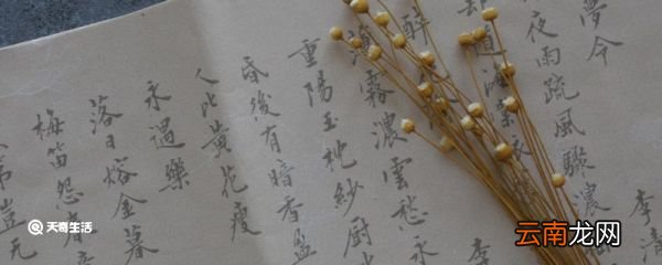 鸿燊怎么读 燊怎么读
