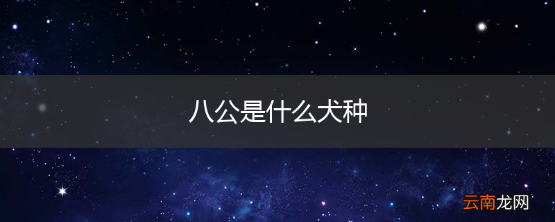 八公是什么犬种