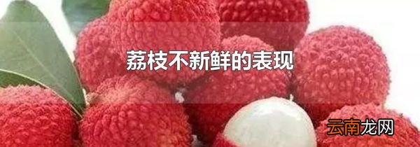 荔枝不新鲜的表现