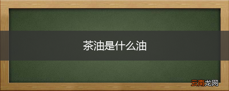 茶油是什么油