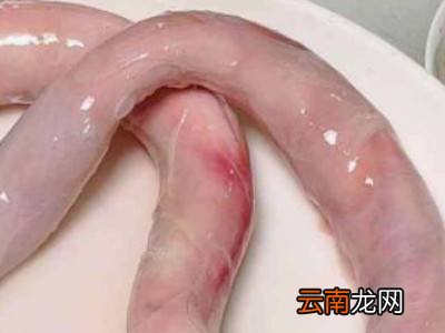 牛鞭上的牛油怎么处理