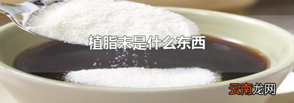 植脂末是什么东西