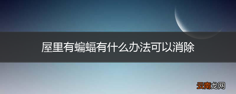 屋里有蝙蝠有什么办法可以消除