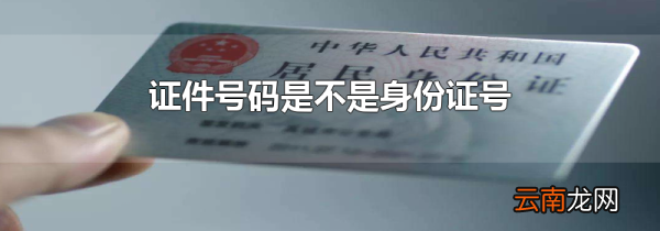 证件号码是不是身份证号
