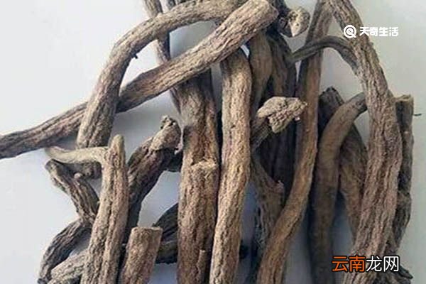 紫金龙的功效与作用 紫金龙的功效