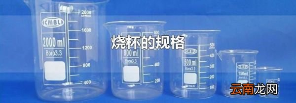 烧杯的规格