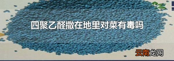 四聚乙醛撒在地里对菜有毒吗