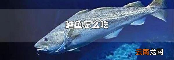 鳕鱼怎么吃
