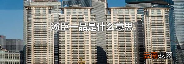 汤臣一品是什么意思