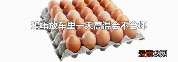 鸡蛋放车里一天高温会不会坏