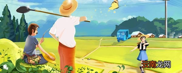 种玉米的方法和步骤 种玉米的方法和步骤是什么