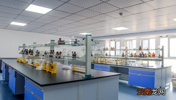 革兰染色步骤正确顺序 革兰染色是什么顺序