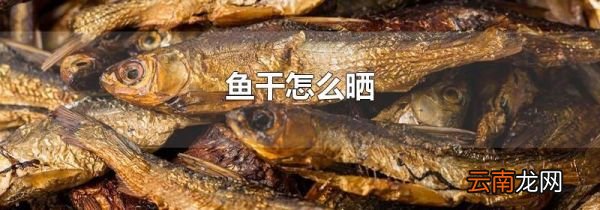 鱼干怎么晒
