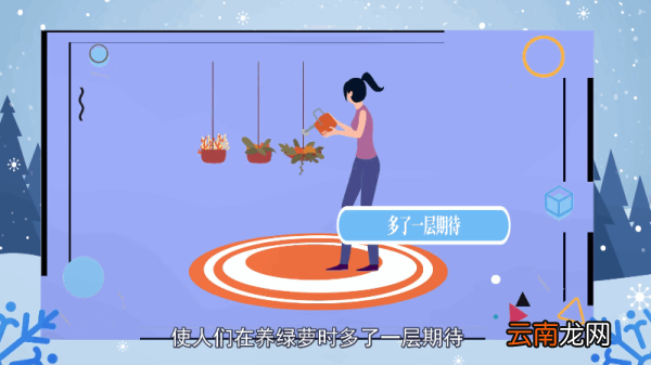 绿萝的花语 绿萝的花语是什么