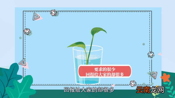 绿萝的花语 绿萝的花语是什么