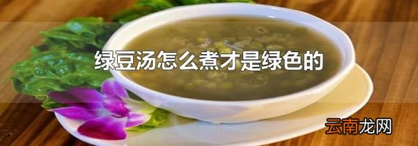 绿豆汤怎么煮才是绿色的