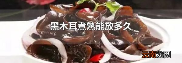 黑木耳煮熟能放多久