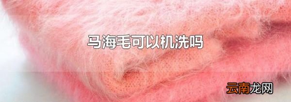 马海毛可以机洗吗