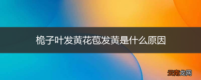 桅子叶发黄花苞发黄是什么原因