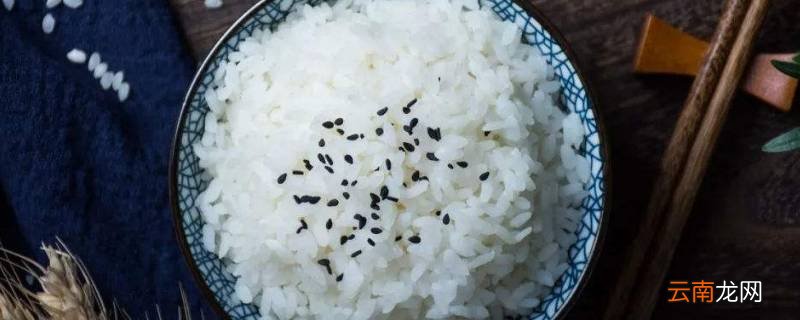 蒸米饭是开水上锅蒸还是冷水