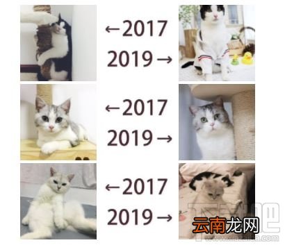 朋友圈晒2017-2019什么意思 发2017和2019对比的是什么梗