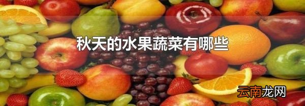秋天的水果蔬菜有哪些