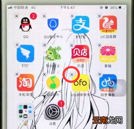 iphone6中排列整理桌面app的简单步骤