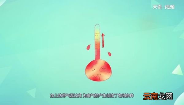 南方的瘴气是什么 什么是南方的瘴气