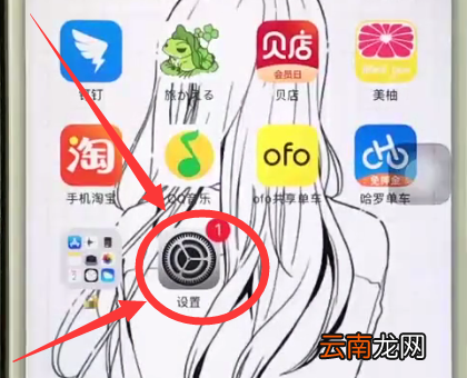 iphone6中把字体调大的简单步骤