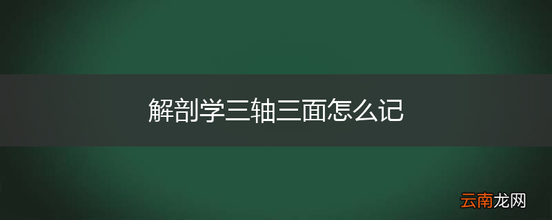 解剖学三轴三面怎么记