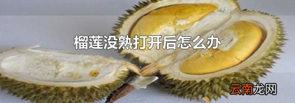 榴莲没熟打开后怎么办