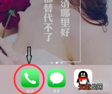 苹果信号格怎么换图标