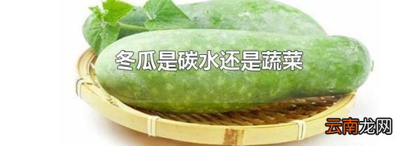 冬瓜是碳水还是蔬菜