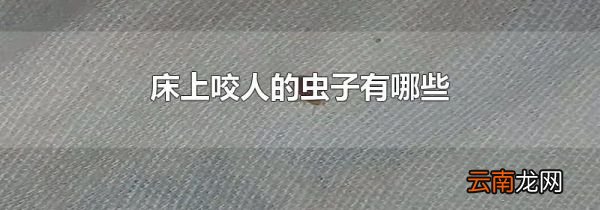 床上咬人的虫子有哪些