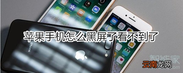 苹果手机怎么黑屏了看不到了