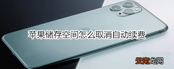 苹果储存空间怎么取消自动续费