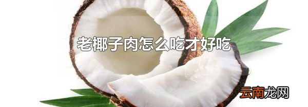 老椰子肉怎么吃才好吃