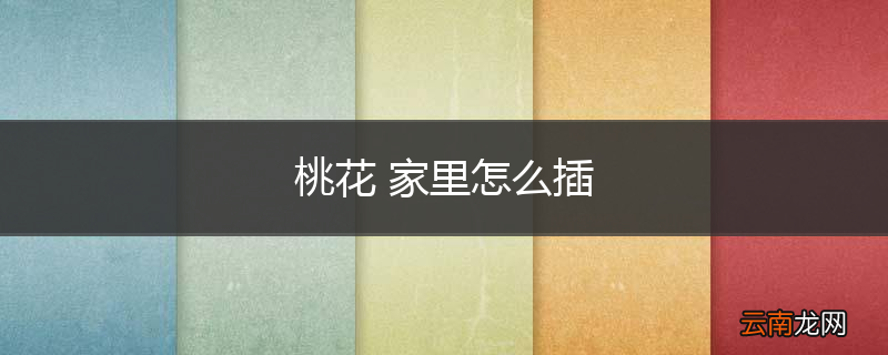 桃花 家里怎么插