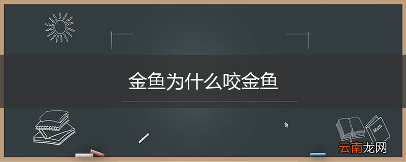 金鱼为什么咬金鱼