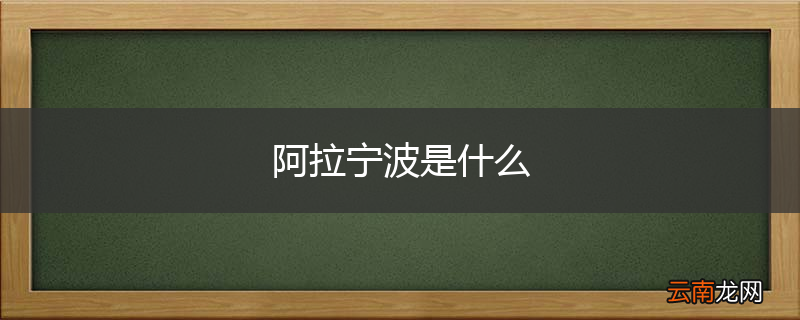 阿拉宁波是什么