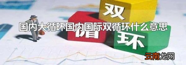 国内大循环国内国际双循环什么意思