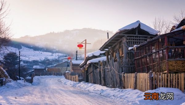 逢雪宿芙蓉山主人表达了作者内心什么情感 逢雪宿芙蓉山主人的主题思想
