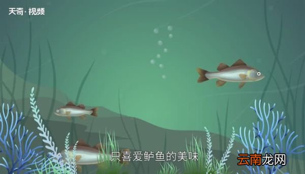 江上渔者原文 江上渔者原文内容