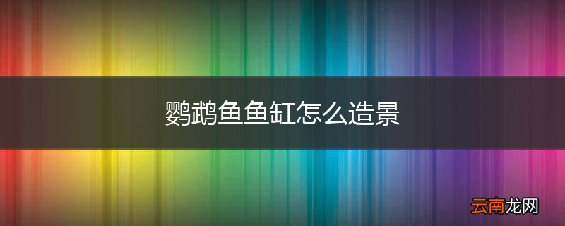 鹦鹉鱼鱼缸怎么造景