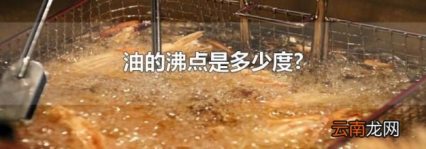 油的沸点是多少度?