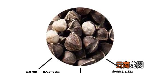 辣木籽骗局，是不是对每个人都有用呢