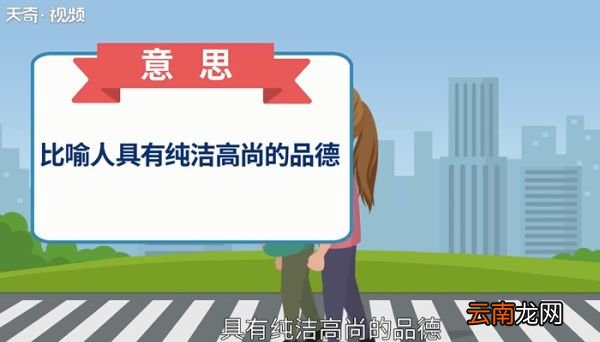 怀瑾握瑜的意思 什么是怀瑾握瑜
