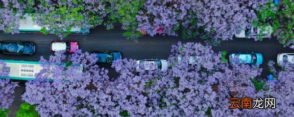走花路是什么意思 走花路什么意思
